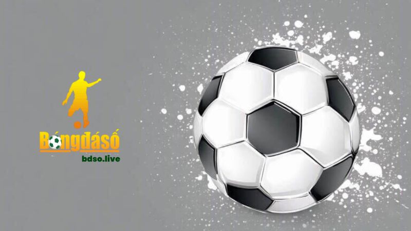 Bdso.live cập nhật thông tin nhanh chóng, đầy đủ