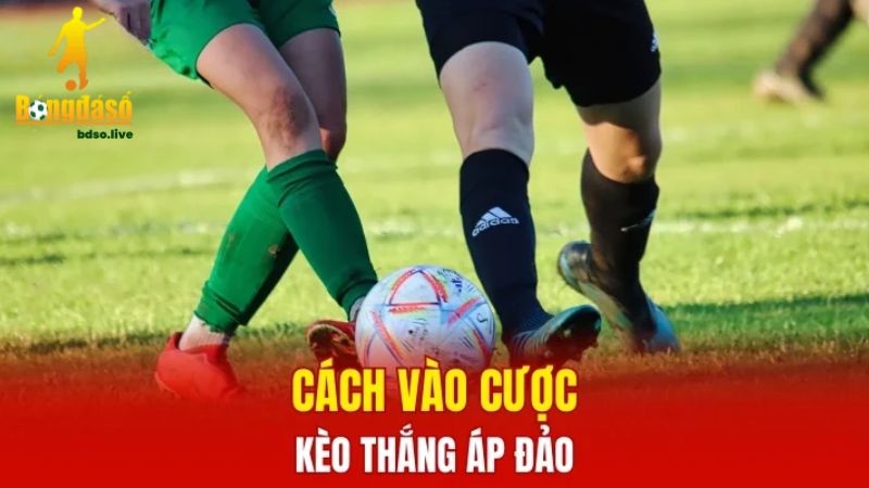 Luôn cẩn trọng khi chơi cược thắng áp đảo