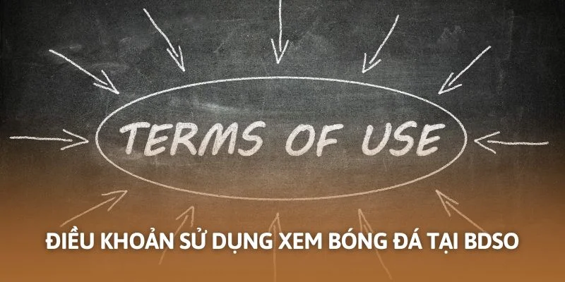 Điều khoản sử dụng xem bóng đá tại Bdso