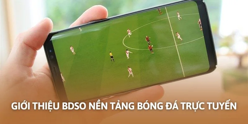 Giới thiệu Bdso nền tảng bóng đá trực tuyến