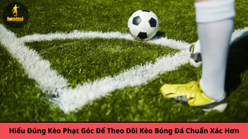 Hiểu Đúng Kèo Phạt Góc Để Theo Dõi Kèo Bóng Đá Chuẩn Xác Hơn