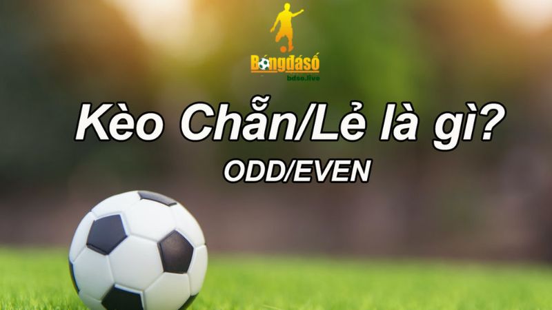 Kèo chẵn lẻ là một trong những kèo cá cược bóng đá