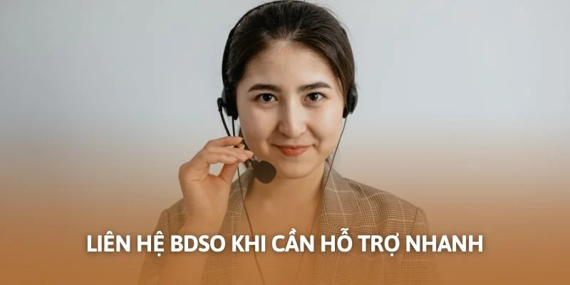 Liên hệ Bdso khi cần hỗ trợ nhanh