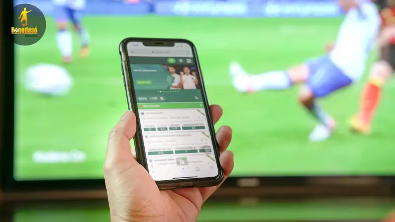 Nắm vững cách đọc kèo bóng đá chính là bước khởi đầu quan trọng