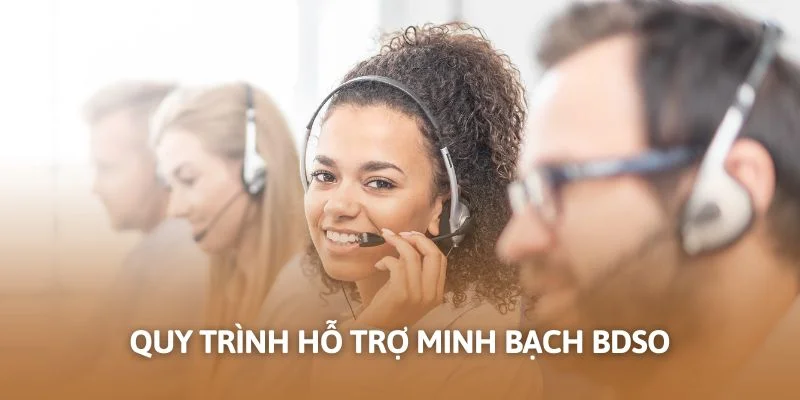 Quy trình hỗ trợ minh bạch Bdso