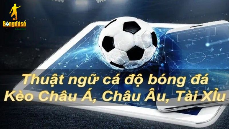 Có rất nhiều thuật ngữ cơ bản trong cá độ bóng đá