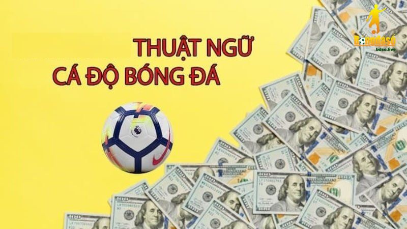 Anh em cần phải nắm rõ thuật ngữ cá độ bóng đá