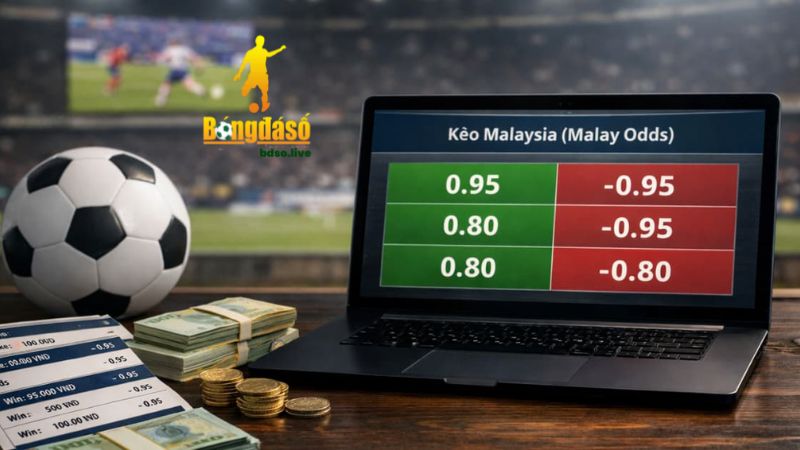 Tuỳ vào khả năng của mỗi người mà lựa chọn odds hợp lý