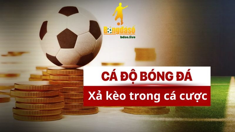Xả kèo trong cá cược bóng đá là tính năng phổ biến